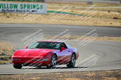 media/Mar-22-2025-West Coast Racing (Sat) [[0d49b412c8]]/Yellow Group/Session 1 (Turn 4-Exterior)/